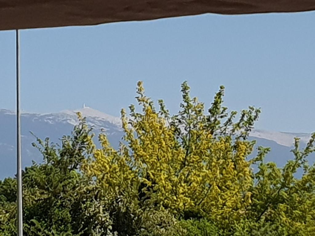photo de Pura vida
