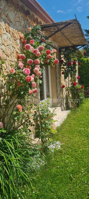 Photo de Petit gite de Provence
